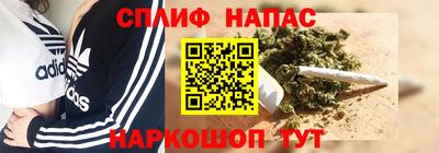 сатива Обнинск