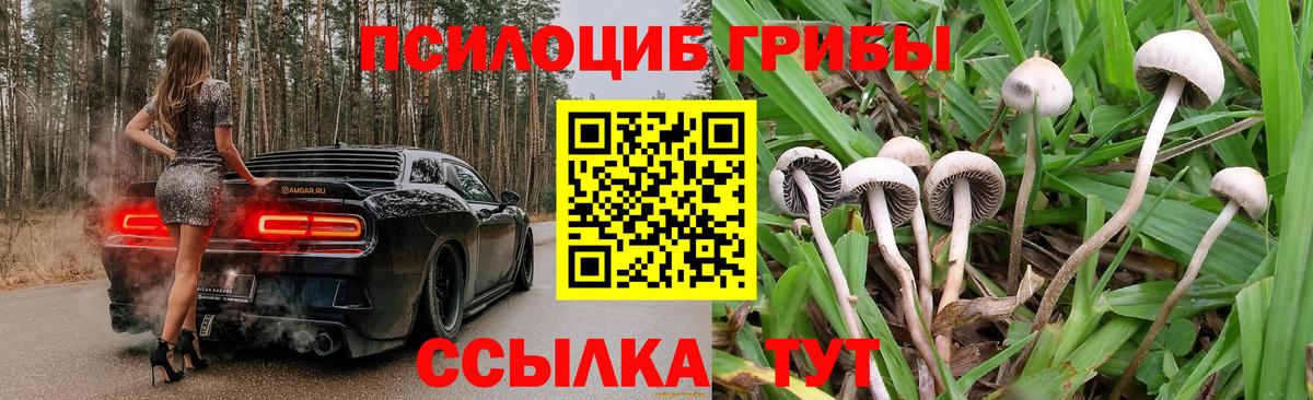 Полевской  Псилоцибиновые грибы Magic Shrooms  Вход с VPN 