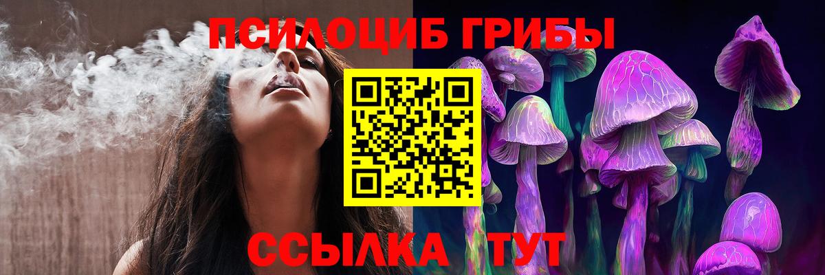 Псилоцибиновые грибы Psilocybe Полевской